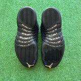 Jordan Dark Concord 12s Size 9