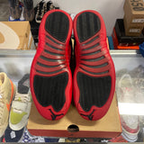 Jordan 2016 Flu Game 12s Size 10