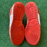 Nike Syracuse Low Dunks Size 9.5