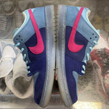 Nike Run The Jewels SB Low Dunks Size 8.5