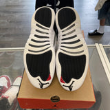 Jordan Playoff 12s Size 12