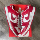 Nike USC Low Dunks Size 10