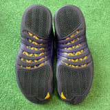 Jordan Field Purple 12s Size 10