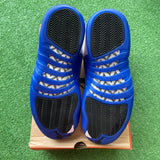 Jordan Blueberry 12s Size 10