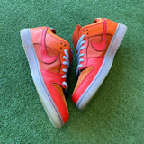 Nike Fire And Ice SB Low Dunk Size 11.5