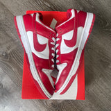 Nike USC Low Dunks Size 10