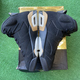 Jordan DMP 6s Size 9.5
