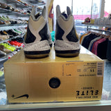 Nike LeBron White Gold X Size 11