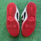 Warren Lotas Dunks (No Insoles) Size 9.5