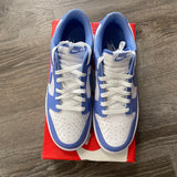 Nike Polar Blue Dunk Size 9