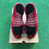Jordan Cherry 12s Size 9.5
