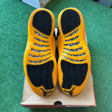 Jordan Black University Gold 12s Size 11