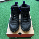 Jordan Dark Concord 12s Size 12