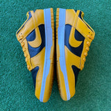 Nike Golden Rod Dunks Size 10