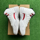 Jordan Twist 12s Size 9