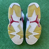 Jordan Carmine 6s Size 11