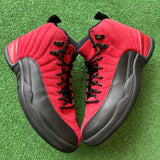 Jordan Reverse Flu Game 12s Size 9