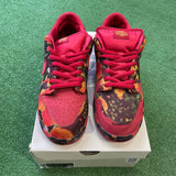 Nike The Wizard Of Oz Poppy Field SB Low Dunk Size 13