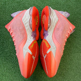 Nike Hawaii LeBron 19 Lows Size 12