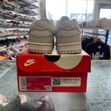 Nike Photon Dust Low Dunk Size 6.5W/5M