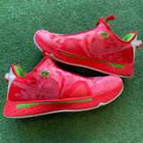 Nike Christmas PG4s Size 11