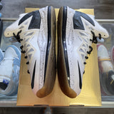 Nike LeBron White Gold X Size 11