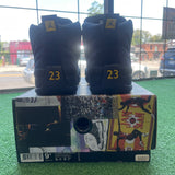 Jordan Michigan 12s Size 9.5
