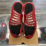 Jordan Cherry 12s Size 11