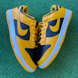 Nike Golden Rod Dunks Size 10