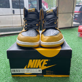 Jordan Pollen 1s Size 11.5