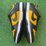 Nike Reverse Goldenrod Low Dunk Size 11