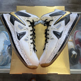 Nike LeBron White Gold X Size 11