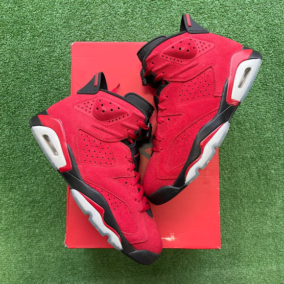 Jordan Toro 6s Size 8.5