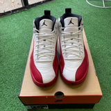 Jordan Cherry 12s Size 9.5