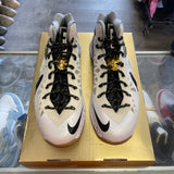 Nike LeBron White Gold X Size 11