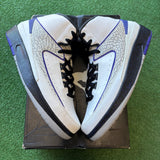 Jordan Dark Concord 2s Size 6.5Y