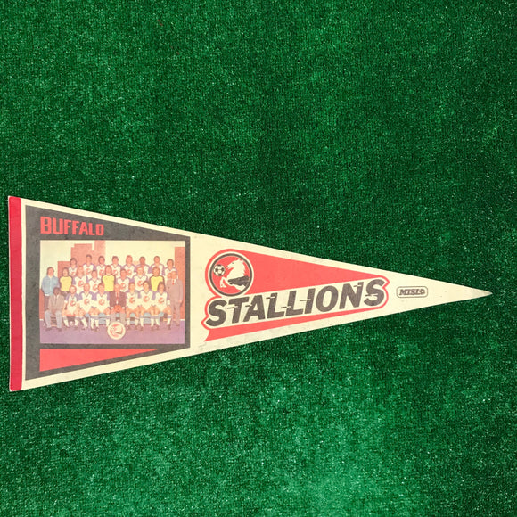 Vintage Buffalo Stallions Pennant