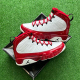 Jordan Gym Red 9s Size 11