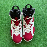 Jordan Carmine 6s Size 10.5